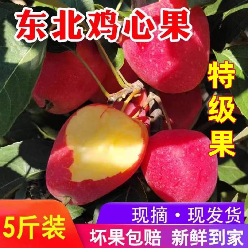 东北特产鸡心果吉林小苹果图片