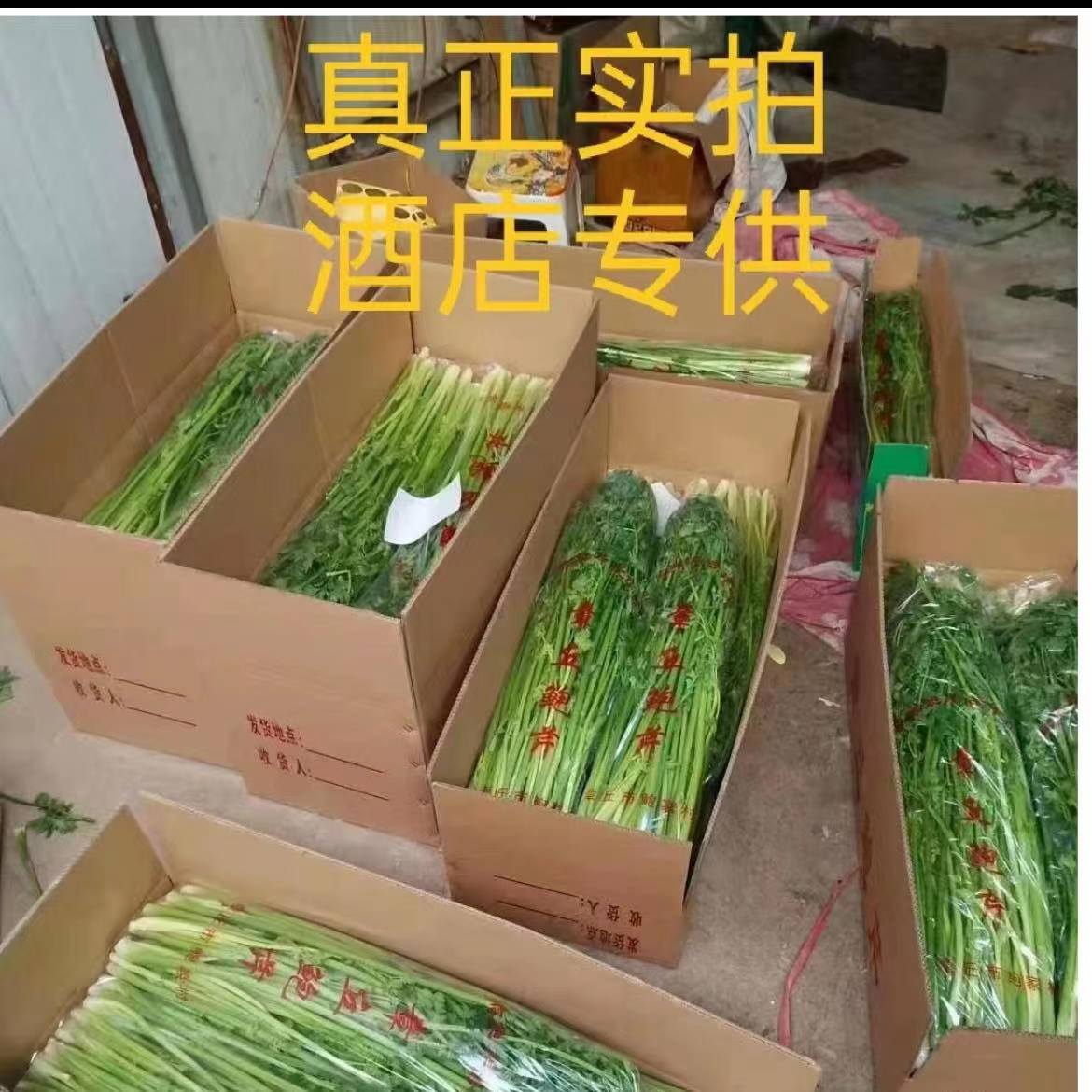 顺丰单念章丘鲍芹芹菜