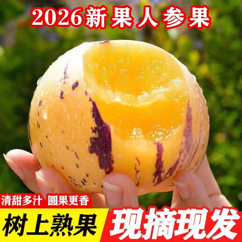 云南石林七彩人参果旗舰店新鲜水果树上熟大圆人叁人生果整箱包邮