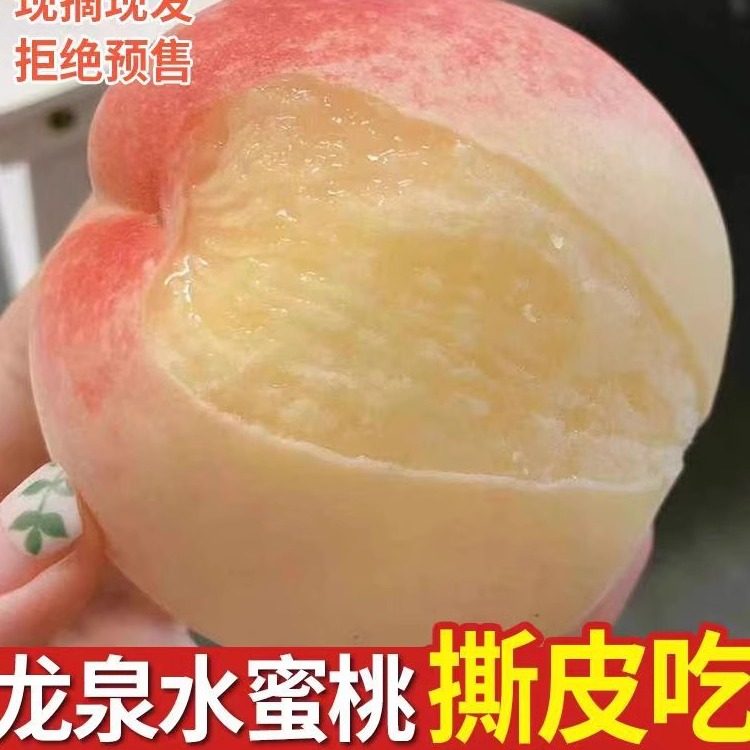 正宗四川成都龙泉驿区龙泉水蜜桃5礼盒超甜新鲜大果撕皮桃毛桃子1