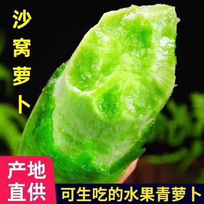 天津沙窝萝卜天星二号5斤脆甜