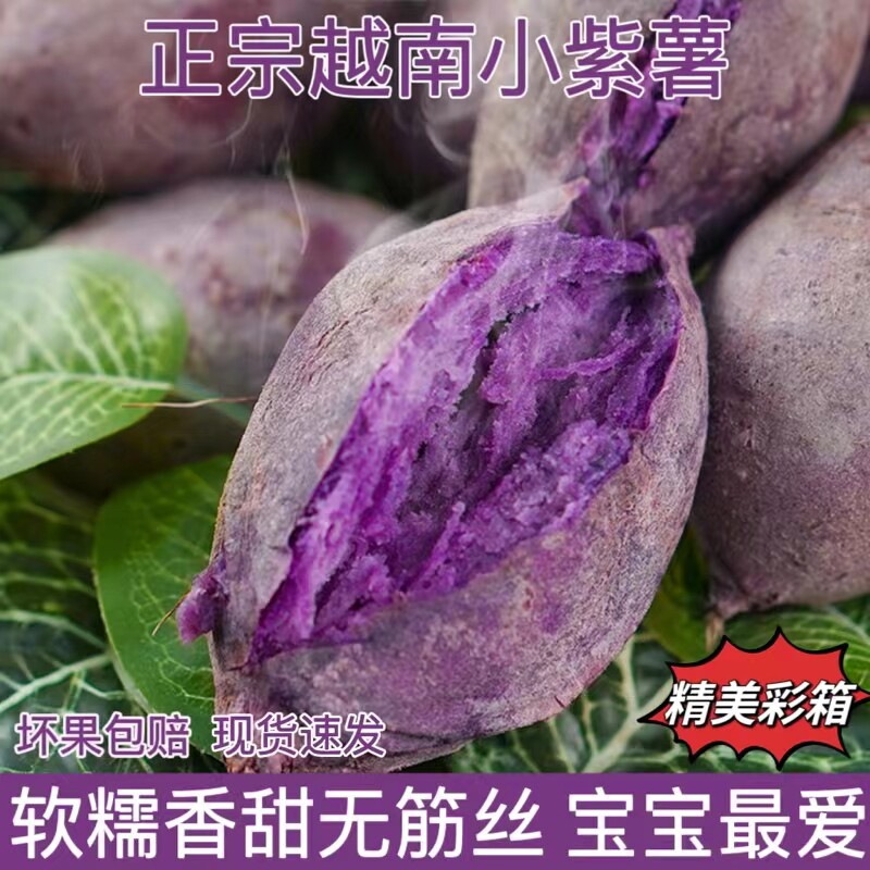 正宗越南珍珠小紫薯2026新鲜紫薯紫心红番薯粉糯香甜孕妇老人宝宝