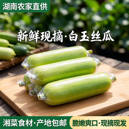白玉丝瓜牛奶肉丝瓜农家时令蔬菜