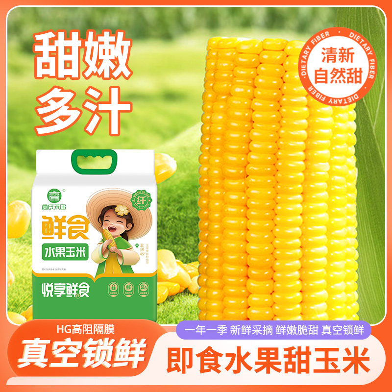 高氏禾田东北水果黄玉米鲜嫩多汁