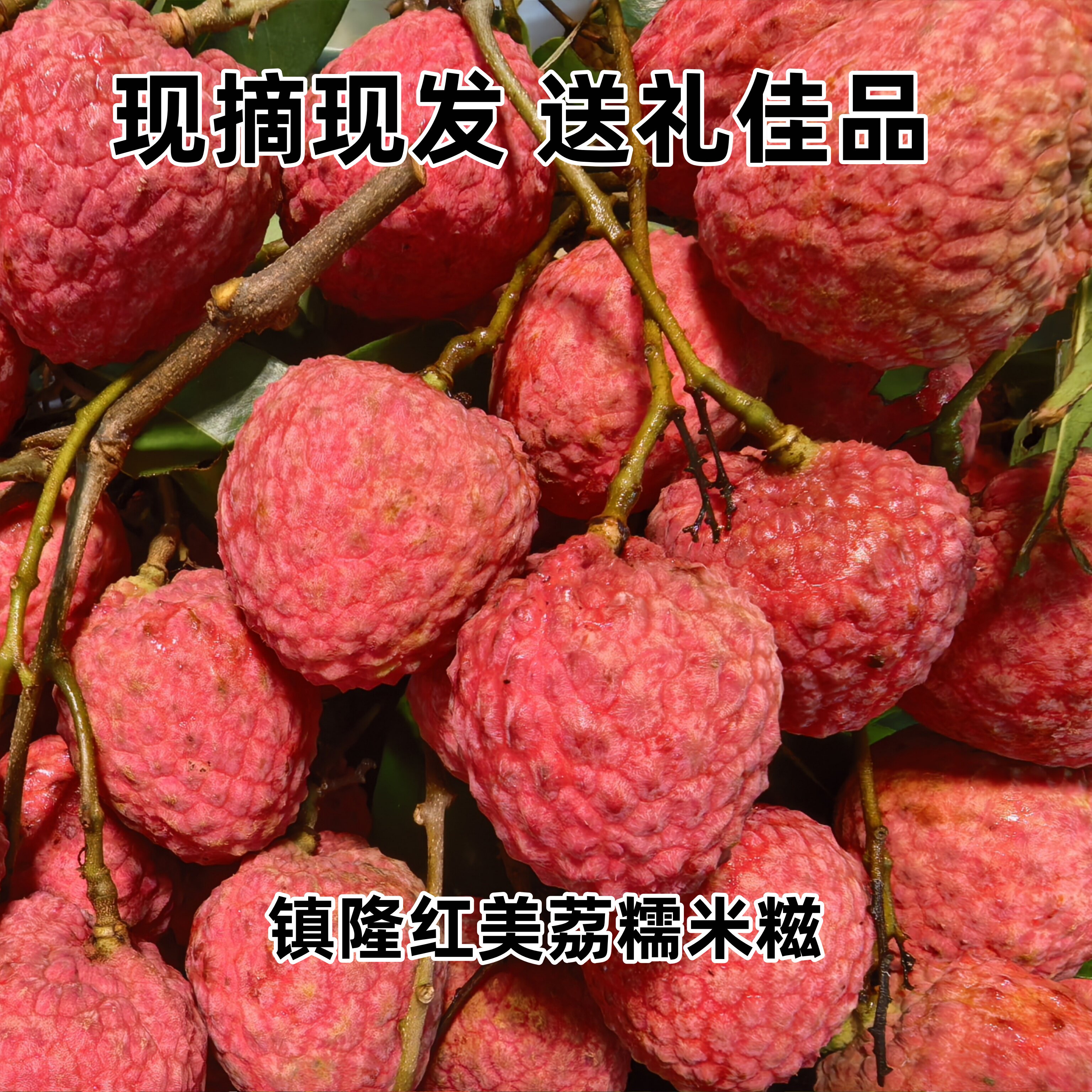红美荔镇隆妃子.笑桂味荔枝糯米.糍脆爽肉嫩毛重6斤10斤新鲜水果