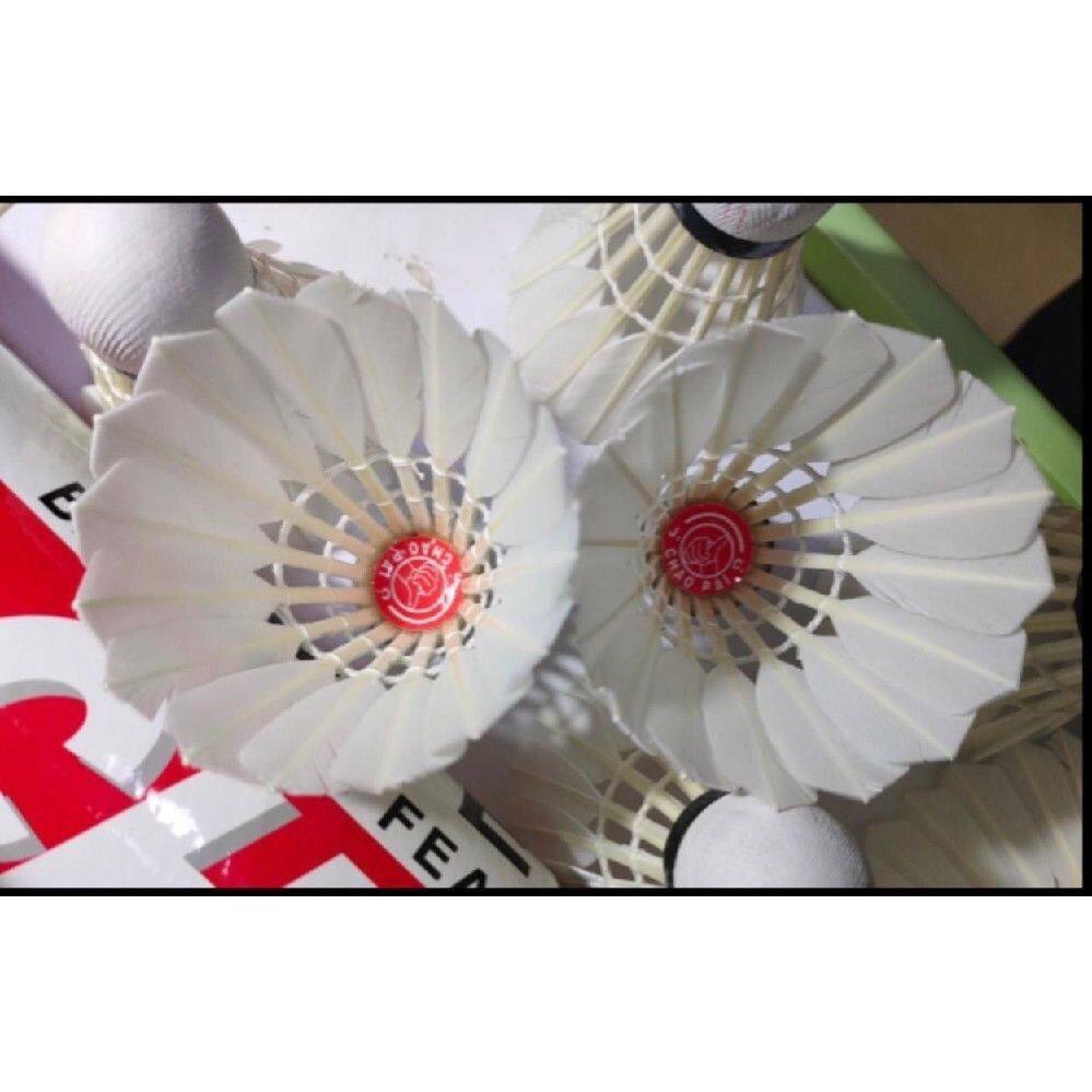 超牌红超9.9成新专业用不断毛12只装场馆清仓3,运动/瑜伽/健身/球迷用品,羽毛球,淘宝优惠券,粉丝福利购,淘宝优惠卷