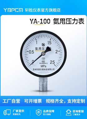 YA100 2.5MPa 管道式氨气压力表 氨用分解炉压力表 苏州轩胜