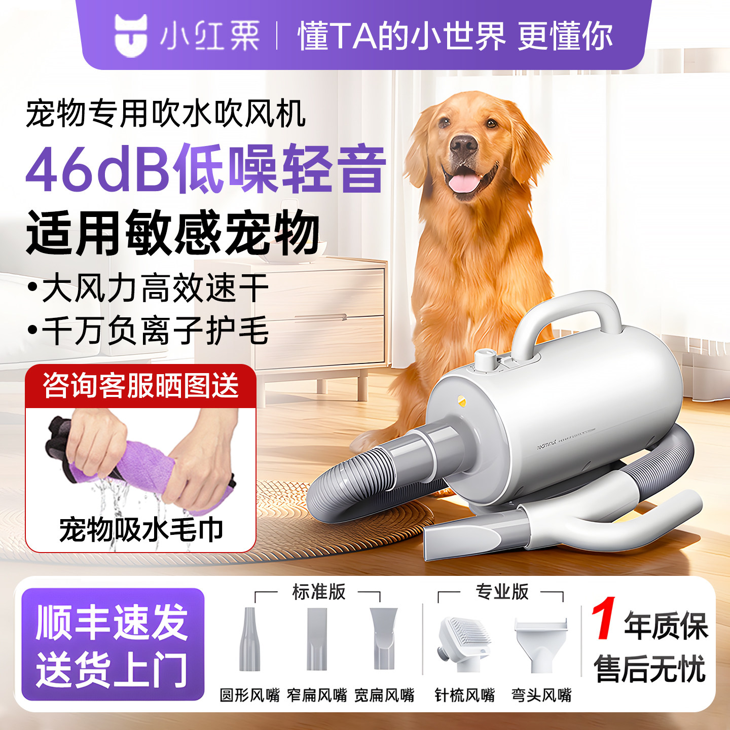 小红栗宠物吹水机狗狗专用吹风机拉毛一体大型犬洗澡吹干神器家用