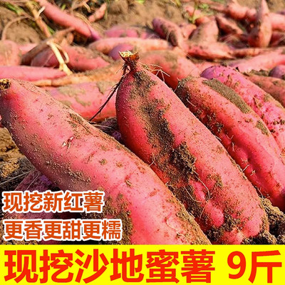 沙地蜜薯新鲜红薯10斤农