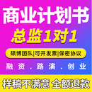 商业计划书撰写代做可行性研究报告项目立项创业融资方案策划PPT