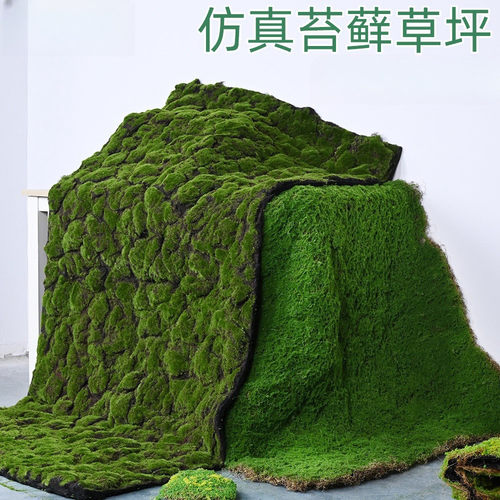 仿真苔藓青苔植物造景景观装饰