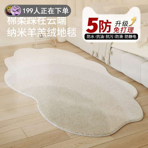 家用卧室衣帽间五防纳米床边毯