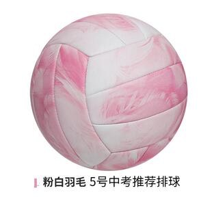 排球中考学生专用初中生女生体育5号硬标准款比赛气排球
