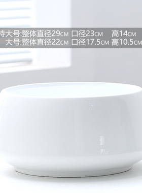 蝴蝶兰专用花盆高档盆景花盆大口径网红简约轻奢兰花花盆特价
