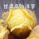 2025甘肃沙面新土豆10斤带箱新鲜定西马铃薯沙洋芋现发黄心面
