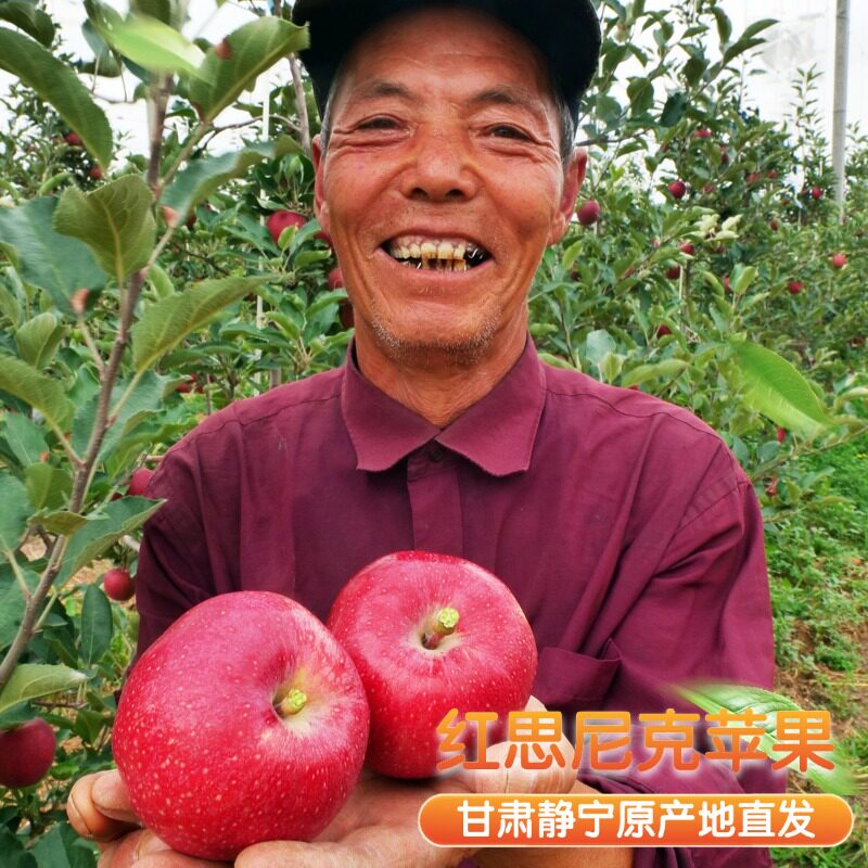 2026甘肃静宁红思尼克红嘎啦苹果当季新鲜水果脆甜多汁顺丰直发