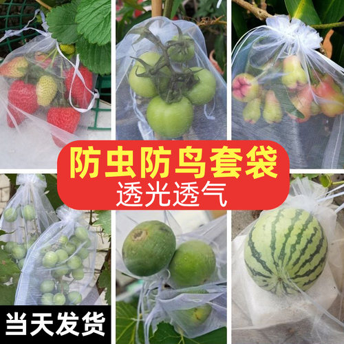 防鸟防虫专用水果套袋可反复使用