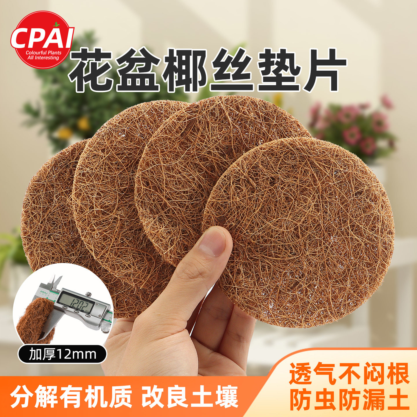 花盆垫片花盆底孔垫网底部垫高透气椰丝垫片盆栽盆景防漏土沥水垫,鲜花速递/花卉仿真/绿植园艺,其它园艺用品,淘宝优惠券,粉丝福利购,淘宝优惠卷