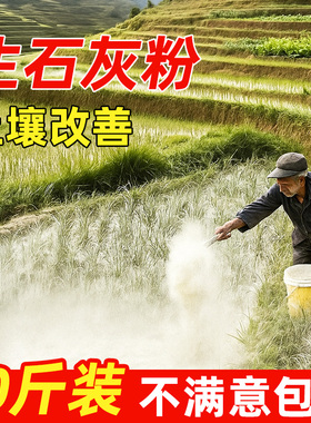 生石灰粉杀虫种菜消毒杀菌专用高纯度防霉防潮农业改良土壤干燥剂