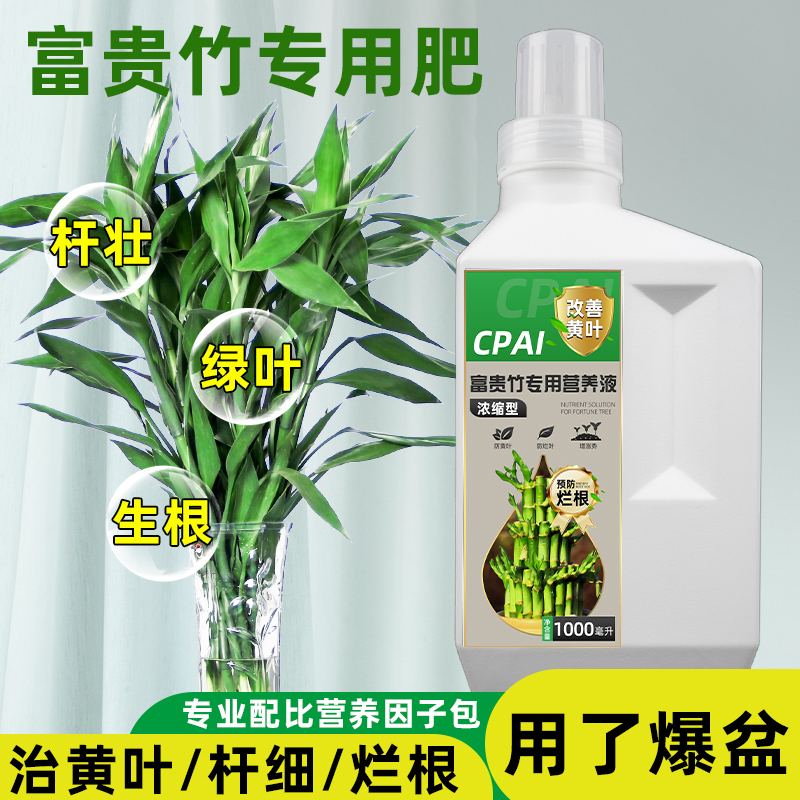 富贵竹专用型营养液防黄叶防烂根