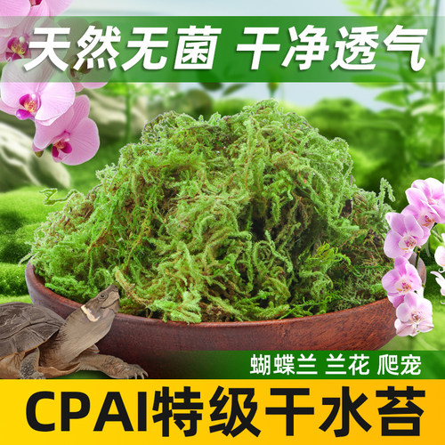 蝴蝶兰用干苔藓精筛杂质干净透气