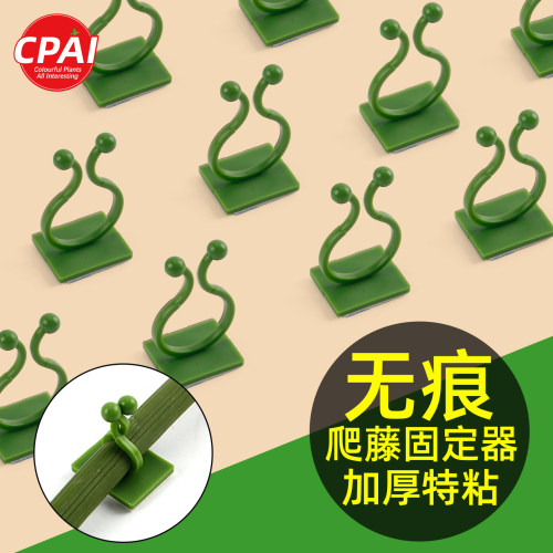绿箩爬藤固定器墙上无痕挂钩定型