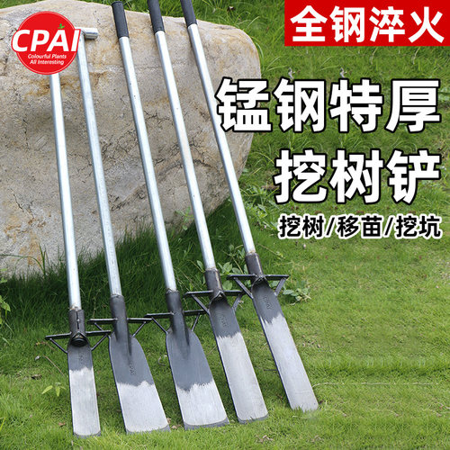 挖树铲特厚锰钢起苗挖土挖坑神器