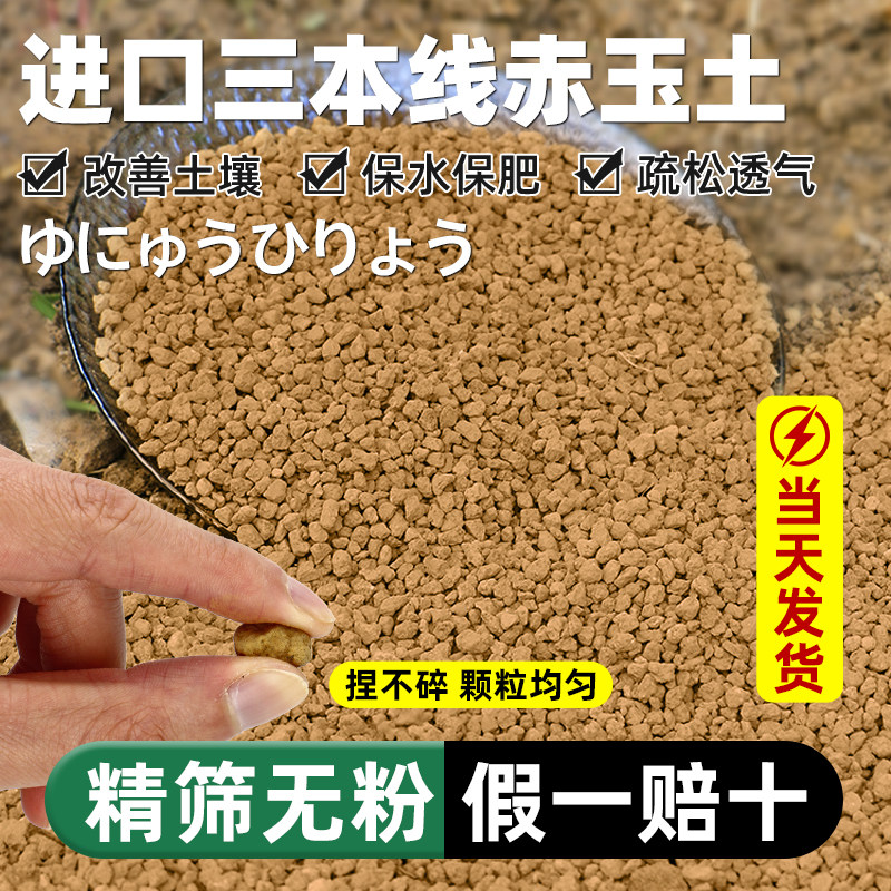 日本原装进口赤玉土三本线正品多肉颗粒土盆景专用铺面硬质营养土