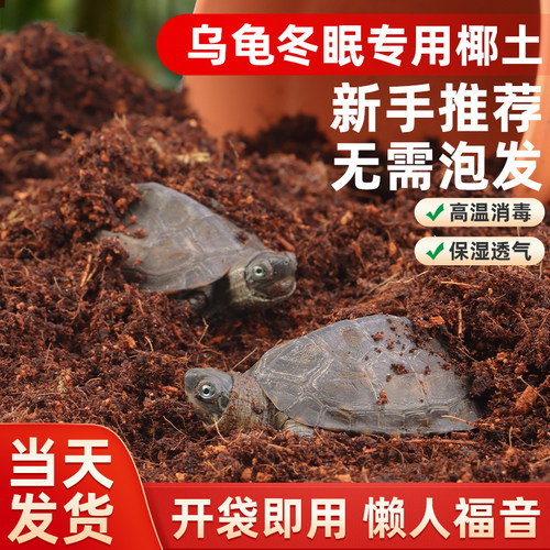 爬宠乌龟冬眠专用椰土无需泡发