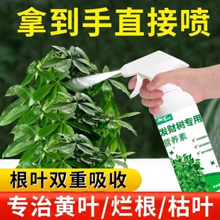 发财树专用营养液免稀释掉黄叶烂根通用家用室内盆栽植物盆景肥料