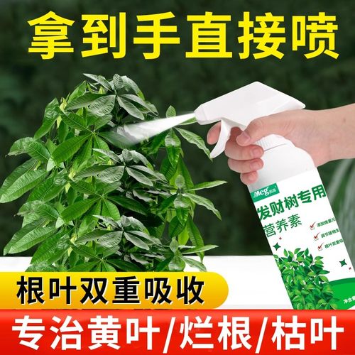 免稀释植物营养液发财树专用肥料