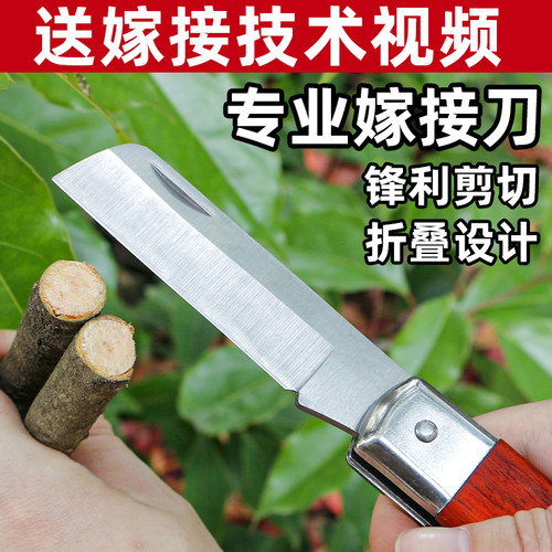 可折叠嫁接刀进口钢果树园艺专用
