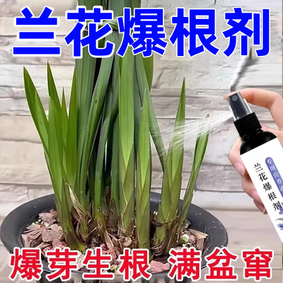 兰花营养液免稀释即喷型唤醒活力