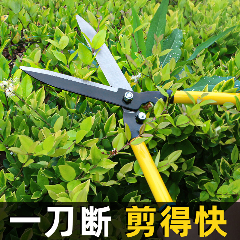园艺大剪刀园林花剪修枝剪修剪草坪专用绿篱剪强力修剪树枝粗枝剪_虎窝淘
