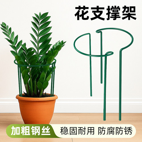花支撑架龟背竹支撑杆防倒伏花架