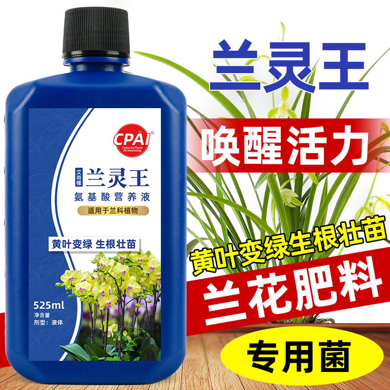 兰花专用肥料兰灵王专用营养液兰菌兰科兰花多箭素肥料微生物菌剂