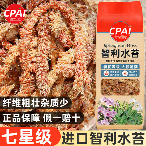 CPAI进口智利水苔条粗壮假一赔十
