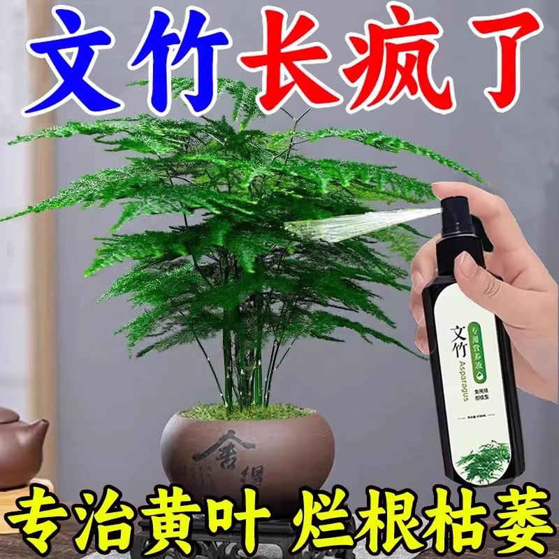 【四季爆芽】文竹专用营养液
