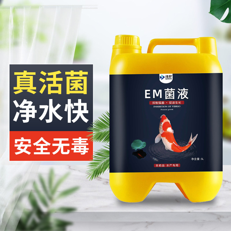 em菌液发酵原露水产原液锦鲤鱼缸鱼池金鱼开缸硝化细菌池塘养鱼用