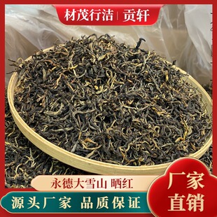 云南厂家直批茶叶 2022年大雪山晒红 古树春茶 红茶 晒红散装500g