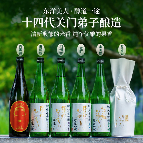 纯米大吟酿清酒东洋美人