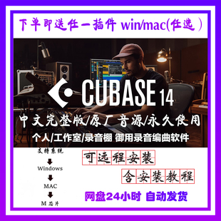 新cubase15pro中文版录音混音编曲直播机架后期修音音乐制作软件