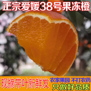 四川正宗爱媛38号果冻橙水果橙子新鲜5斤10孕妇手剥橙当季爱嫒38