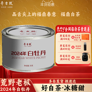 奇古枝福鼎白茶春茶2024荒野老枞一级白牡丹35g小罐装