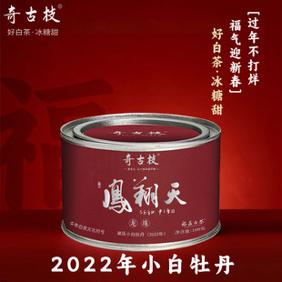 奇古枝福鼎白茶凤翔天龙珠2022年小白牡丹100g小罐装