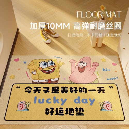 加厚10mm丝圈入户门地垫支持定制