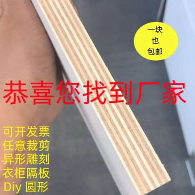 定制胶合板五合板货架板隔板圆形