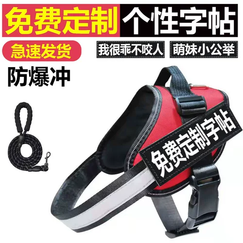 Черный красный жилет с поводком, взрывобезопасные подтяжки, светоотражающая тетрадь