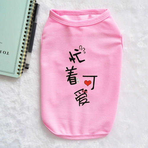 Осенний тонкий хлопковый жилет, популярно в интернете, делается под заказ