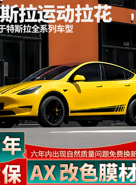 适用于特斯拉Model Y拉花Model 3黑色机盖车贴S个性X车门装饰贴纸